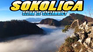 SOKOLICA Szlak ze Szczawnicy Jesienią  Sokolica Mountain Hiking Trail  Pieniny  Poland 4k [upl. by Borden556]