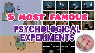 Most Famous Psychological Experiments  Stanford Prison Milgram Marshmallow Stroop Effect  Hindi [upl. by Osyth]