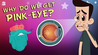 What Causes Conjunctivitis  CONJUNCTIVITIS  PinkEye  The Dr Binocs Show  Peekaboo Kidz [upl. by Roux]