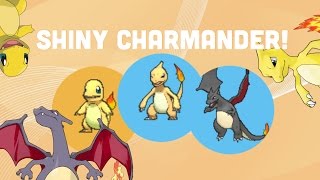 Pokemon Brick Bronze  SHINY CHARMANDER EVOLUTION [upl. by Nnaacissej]