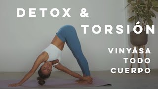 DÍA INTERNACIONAL DEL YOGA  VINYASA FLOW DETOX Y TORSION con Absmo  2020 [upl. by Block899]