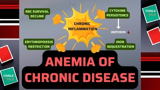 Anemia of Chronic Disease [upl. by Zennie222]