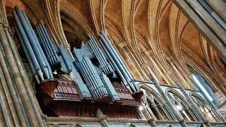 Organ Recital Daniel Greenaway [upl. by Annis]