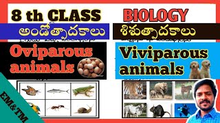 అండోత్పాదకాలుశిశుత్పాదకాలు తేడాలు oviparousviviparous animals differences [upl. by Giacamo946]