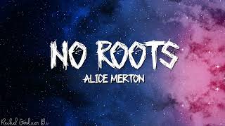 Alice Merton – No Roots Lyrics [upl. by Kcid]