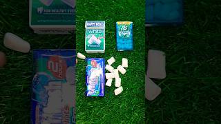 Center fresh Mints vs tictac Big pack vs HAPPYDENT pack 2 unboxing trending youtube shortvideo [upl. by Yekcin]