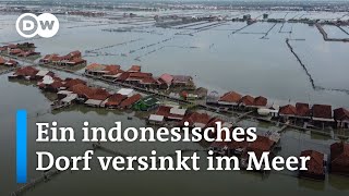 Wie sich ein indonesisches Dorf auf den buchstäblichen Untergang vorbereitet  DW Nachrichten [upl. by Uriisa751]