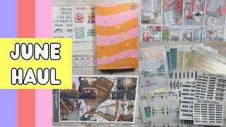 ✨JUNE HAUL✨ ft Plan With Me Stickers SPC amp Lynner Designs [upl. by Gorlin283]