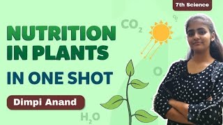 NUTRITION IN PLANTS  CLASS 7  ONE SHOT [upl. by Nosmoht]