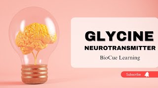 Glycine as a Neurotransmitter [upl. by Lesli721]