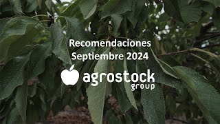 Recomendaciones Septiembre [upl. by Alyss353]