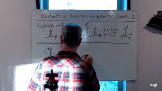 Nucleophilic addition Mechanism of Hydride Addition [upl. by Ydnem]