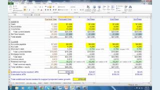 Financial Planning Budgeting and Forecasting Webinar [upl. by Haidabo]