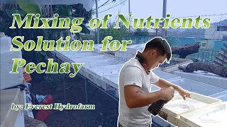 Mixing of Nutrients solution for Pechay  Kratky Method  Pechay production [upl. by Underwood]