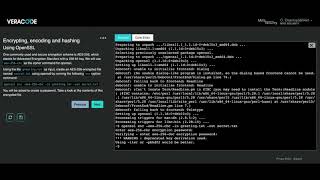 Veracode Security Labs demo [upl. by Hedwiga]