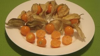 How to Eat Physalis Peruviana Cape Gooseberry Golden Berry Inca Berry [upl. by Soigroeg]