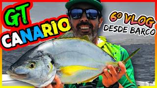 6º 𝕍𝕃𝕆𝔾 desde ＢＡＲＣＯ  🇮🇨 JUREL CANARIO 🇮🇨 a la vista MICROJIGGING 🎣💯 [upl. by Ived]