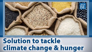 Millets Indias solution to tackle climate change amp hunger [upl. by Ecirtahs928]