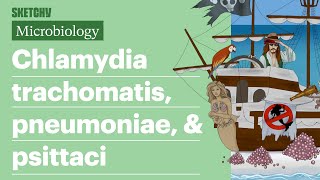 Chlamydia trachomatis pneumoniae amp psittaci  USMLE Step 1  Sketchy Medical [upl. by Niatirb]