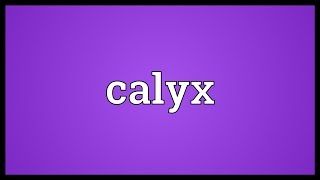 Calyx Meaning [upl. by Bernstein733]