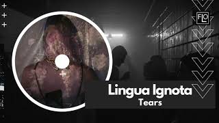 Lingua Ignota  Tears [upl. by Rekyr]