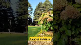 Kala top wildlife sanctuary in Dalhousie 22 September 2024 [upl. by Cointon]