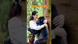 g😍rilla good lover funn😁 video funny sortmusic animalhumo bgm animals animalsorts cat anima [upl. by Sheng]