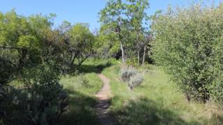 Black Canyon Uplands Trail [upl. by Llerrom]