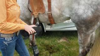 Barrel Racing Tack amp Equipment [upl. by Ardle]