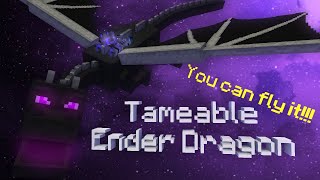 Tameable ender dragon addon Minecraft PE [upl. by Aliuqa]