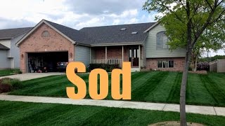 New Sod Fertilizing And Treatment Schedule  New Sod Care [upl. by Euqinay819]