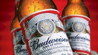 The Untold Truth Of Budweiser [upl. by Liuka]