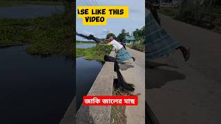 যাকে জাল দিয়ে মাছ ধরামাছfish fishing [upl. by Opaline]