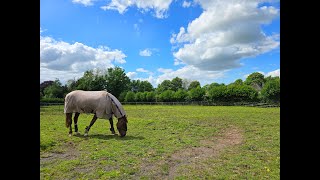 Oakington [upl. by Rebeka651]