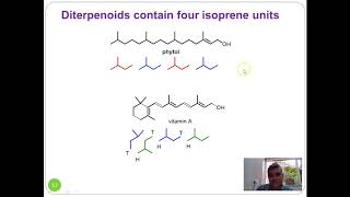 Lecture 1 Terpenes and Terpenoids [upl. by Aenahs748]