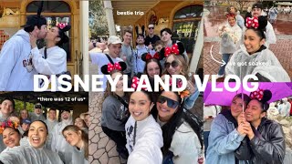 DISNEYLAND VLOG 🐭✨🥨🎢 come spend a RAINY day at DISNEY with us [upl. by Benkley162]