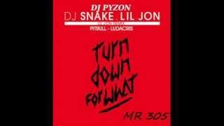 DJ SNAKE ft LIL JON amp PITBULL amp LUDACRIS quot Turn Down For What quot  dj pyzon remix [upl. by Reine]