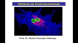 Sistema de Endomembranas I Retículo Endoplasmático Transporte Vesicular e Complexo de Golgi [upl. by Nairadal299]