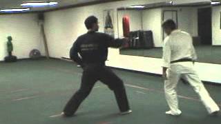 Kata Breakdown 2 Shi Ho Hai  Douvris Martial Arts amp Fitness [upl. by Yreffoeg]