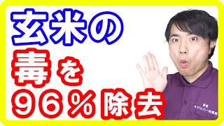 【玄米危険性】玄米のフィチン酸を96％減少させ美味しくする方法！浸水・発芽・発酵玄米の違いとは【English sub・全文字幕】 [upl. by Anwaf]