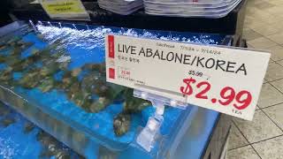 Live ABALONE New Jersey [upl. by Hedges]