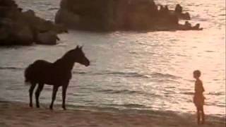 The Black Stallion 01 [upl. by How]