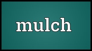 Mulch Meaning [upl. by Tace61]