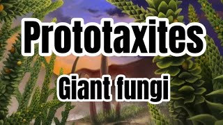 Prototaxites  Giant fungi [upl. by Eilerua]