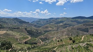 Douro Valley Wine Tour from Porto Portugal [upl. by Enrica386]