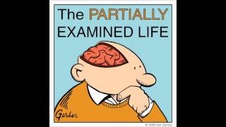 Partially Examined Life podcast  MacIntyre on Moral Theory [upl. by Vashtia39]