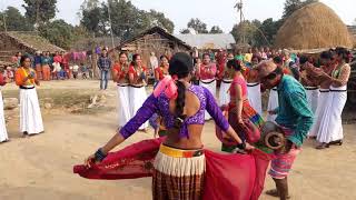 Tharu folk Dance  Maghauta Nach  Tharu Maghauta song  Guruprasad Kumal Bulbul [upl. by Annairba]