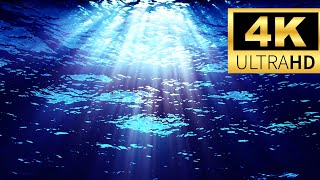 432Hz music for deep sleep 4K ocean waves in deep blue for regeneration generate energy by sleeping [upl. by Revilo528]