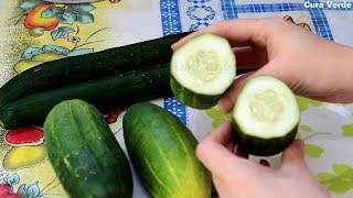 Principais Benefícios do PEPINO 🥒 Descubra o Que Acontece Se Você Comer PEPINO Todos os Dias [upl. by Lauro296]