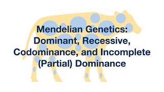 Mendelian Genetics Dominant Recessive Codominance and Incomplete Dominance Explained [upl. by Nehpets927]